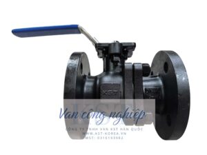 Van Bi Mặt Bích Thép WCB KST