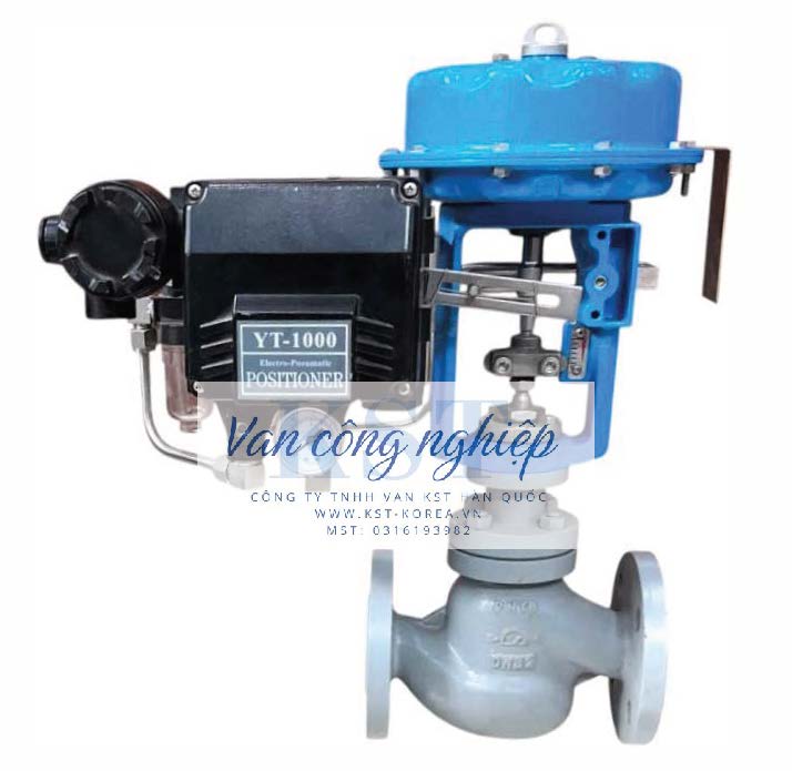 Steam Control Valve