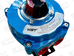 Limit Switch Box chống cháy nổ DS300